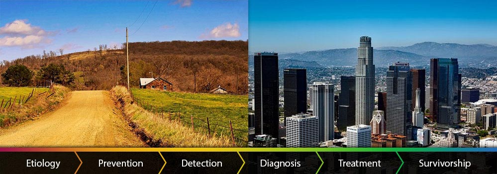 Cancer Continuum: Etiology, Prevention, Detection, Diagnosis, Treatment, and Survivorship